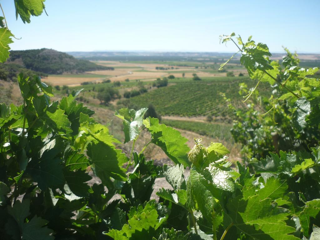 La Cantamora Hotel Rural Pesquera De Duero المظهر الخارجي الصورة